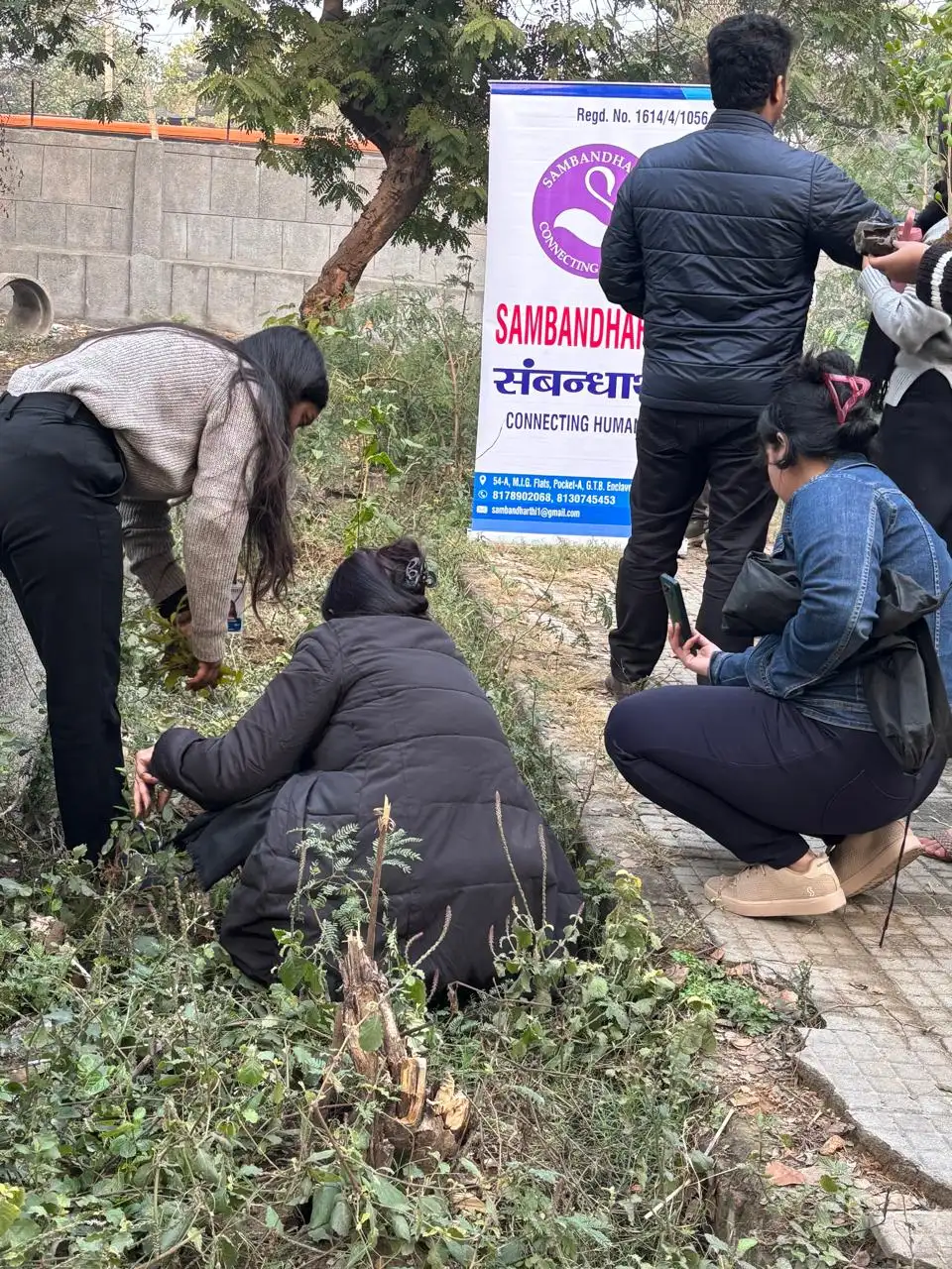 Community Tree Plantation Drive