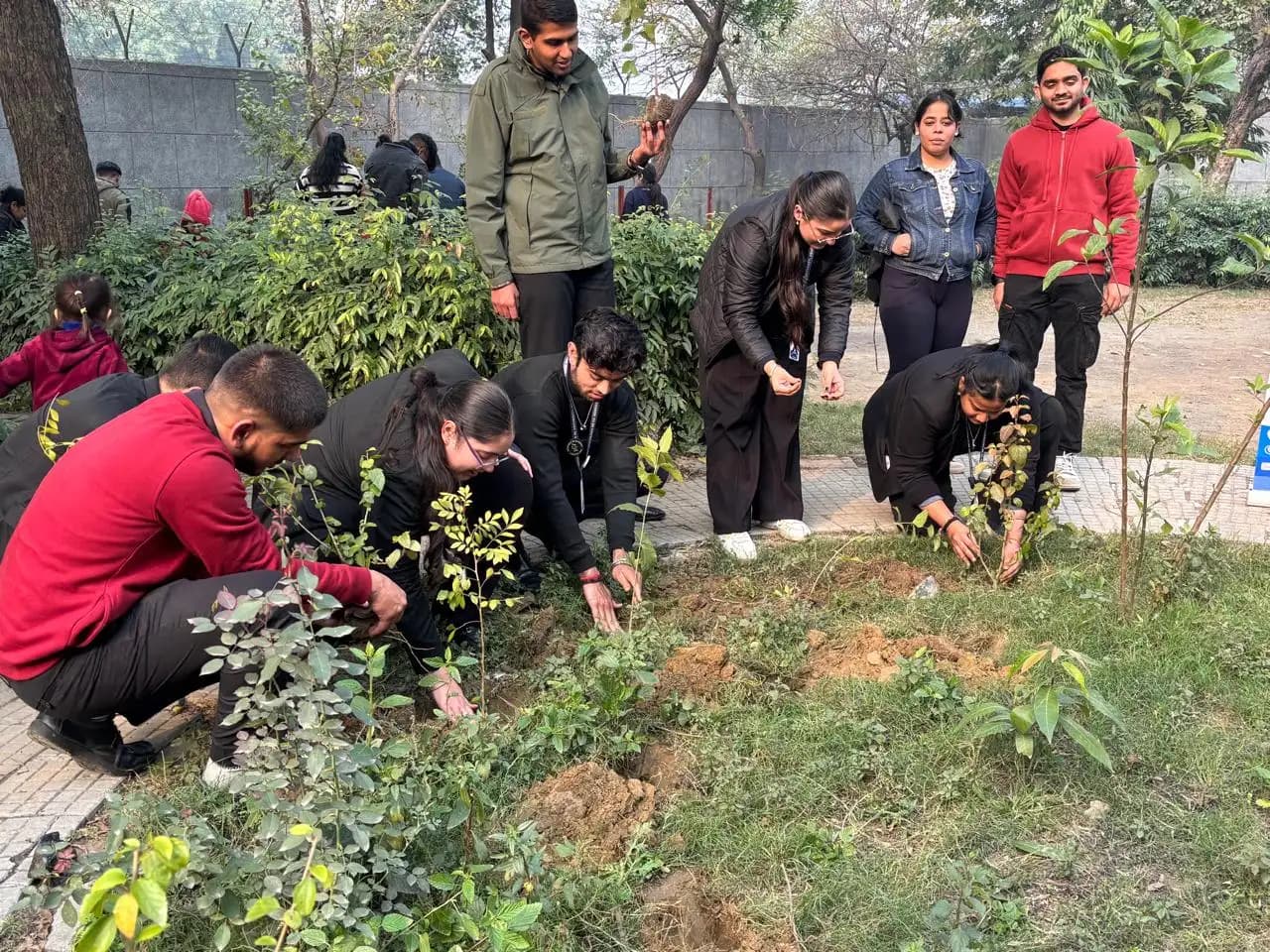 Tree plantation event with community participation